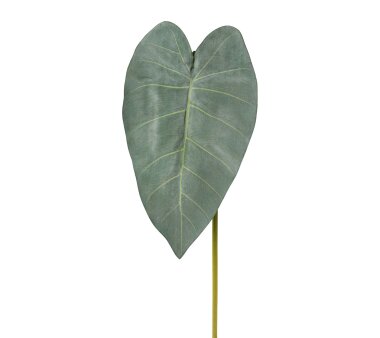 Kunstpflanze Philodendronblatt, 4er Set, Farbe grau,...