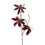 Kunstblume Gloriosa Velvet, 3er Set, Farbe bordeaux, Höhe ca. 68 cm
