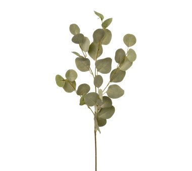 Kunstpflanze Eukalypthuszweig, 4er Set, Farbe grau,...