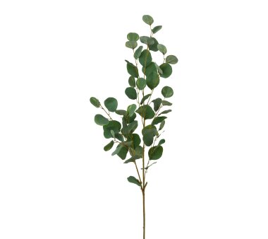 Kunstpflanze Eukalypthuszweig, 2er Set, Farbe grün,...