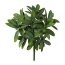 Kunstpflanze Olivenblattbusch, 4er Set, Farbe grün, Höhe ca. 25 cm
