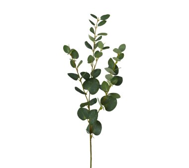 Kunstpflanze Eukalypthuszweig, 5er Set, Farbe grün,...