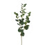 Kunstpflanze Eukalypthuszweig, 5er Set, Farbe grün, Höhe ca. 79 cm