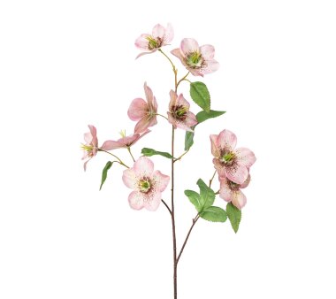 Kunstpflanze Christrosenzweig, 3er Set, Farbe rosa,...