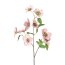 Kunstpflanze Christrosenzweig, 3er Set, Farbe rosa, Höhe ca. 60 cm