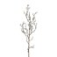 Kunstpflanze Beerenzweig, 5er Set, Farbe silber, Höhe ca. 61 cm