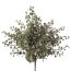 Kunstpflanze Muschelblattbusch, 3er Set, Farbe grau-grün, Höhe ca. 33 cm