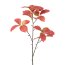 Kunstpflanze Kastanienbeinzweig, 2er Set, Farbe multicolor, Höhe ca. 98 cm