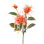Kunstblume Dahlie, 2er Set, Farbe orange, Höhe ca. 68 cm