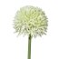 Kunstblume Allium, 12er Set, Farbe weiß, Höhe ca. 44 cm