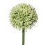 Kunstblume Allium, 12er Set, Farbe weiß-grün, Höhe ca. 44 cm