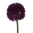 Kunstblume Allium, 12er Set, Farbe violett, Höhe ca. 44 cm