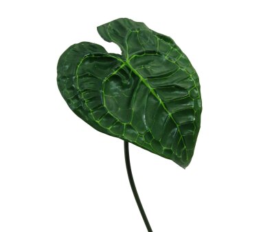 Kunstpflanze Anthurienblatt, 3er Set, Farbe grün,...