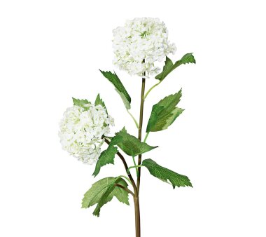 Kunstpflanze Schneeballzweig, 4er Set, Farbe weiß,...