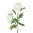 Kunstpflanze Schneeballzweig, 4er Set, Farbe weiß, Höhe ca. 49 cm