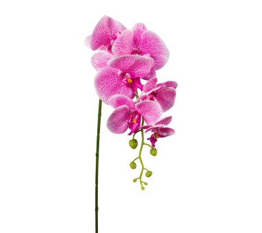 Kunstblume Phalenopsis, 5er Set, Farbe pink, Höhe...