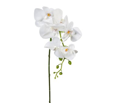 Kunstblume Phalenopsis, 5er Set, Farbe weiß,...
