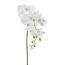 Kunstblume Phalenopsis, 5er Set, Farbe weiß, Höhe ca. 86 cm