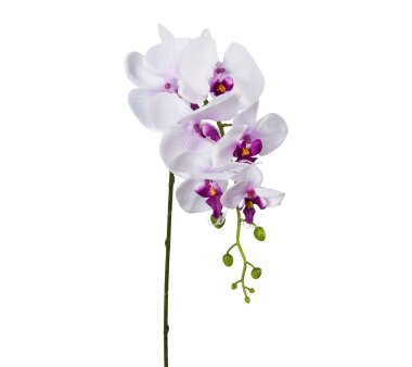 Kunstblume Phalenopsis, 5er Set, Farbe lila, Höhe...