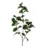 Kunstpflanze Ilexzweig, 5er Set, Farbe grün, Höhe ca. 70 cm