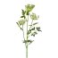 Kunstpflanze Schleierkraut, 4er Set, Farbe weiß, Höhe ca. 84 cm