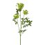 Kunstpflanze Schleierkraut, 4er Set, Farbe grün, Höhe ca. 84 cm