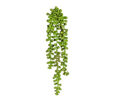 Kunstpflanze Sedumhänger, 5er Set, Farbe grün,...