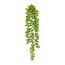 Kunstpflanze Sedumhänger, 5er Set, Farbe grün, Höhe ca. 30 cm