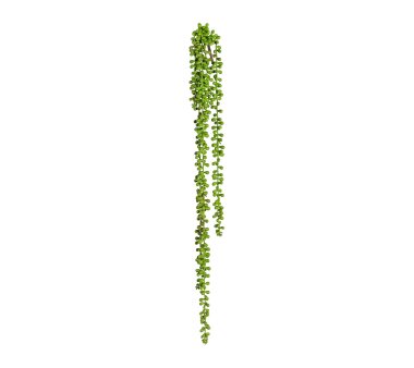 Kunstpflanze Sedumhänger, 3er Set, Farbe grün,...