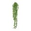 Kunstpflanze Engl. Mini-Efeuranke, Farbe grün, Höhe ca. 180 cm