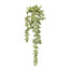 Kunstpflanze Sedumhänger, 5er Set, Farbe grau, Höhe ca. 35 cm