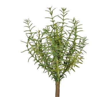 Kunstpflanze Rosmarinbusch, 2er Set, Farbe grün,...