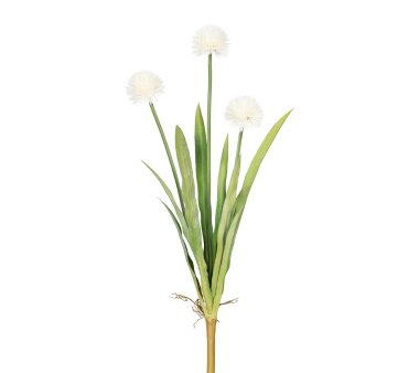 Kunstblume Allium, 2er Set, Farbe weiß, Höhe...