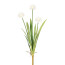 Kunstblume Allium, 2er Set, Farbe weiß, Höhe ca. 60 cm