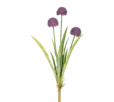 Kunstblume Allium, 2er Set, Farbe lila, Höhe ca. 60 cm