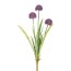Kunstblume Allium, 2er Set, Farbe lila, Höhe ca. 60 cm