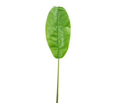 Kunstpflanze Bananenblatt, 2er Set, Farbe grün,...
