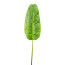 Kunstpflanze Bananenblatt, 2er Set, Farbe grün, Höhe ca. 144 cm