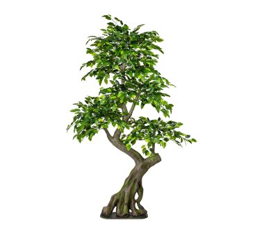 Kunstpflanze Ficus Benjamini, Farbe grün, Spalier,...