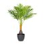 Kunstpflanze Kentiapalme, Farbe grün, inkl. Topf, Höhe ca. 70 cm