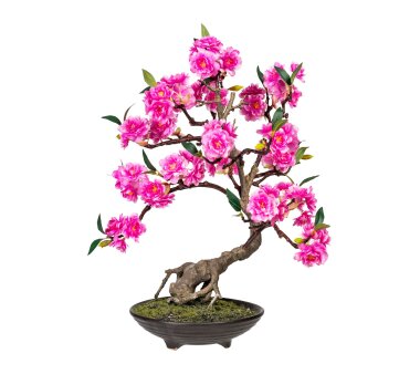 Kunstpflanze Bonsai cerasum, Farbe pink, inkl....