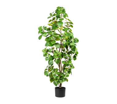 Kunstpflanze Eukalypthus , Farbe grün, inkl....