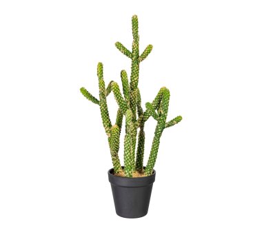 Kunstpflanze Kaktus Euphorbia, Farbe grün, inkl....