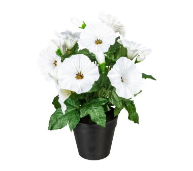 Kunstpflanze Petunie, 2er Set, Farbe weiß, inkl....