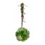 Kunstpflanze Sukkulentenkugel mit Hänger, Farbe grün, Ø ca. 14 cm