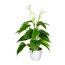 Kunstpflanze Calla, Farbe weiß, inkl. Kunststofftopf, Höhe ca. 44 cm