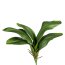 Kunstpflanze Orchideenlaub, 2er Set, Farbe grün, Höhe ca. 37 cm