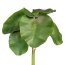 Kunstpflanze Seerosenblätterbund, 2er Set, Farbe grün, Höhe ca. 27 cm