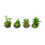Kunstpflanze Mini-Sukkulenten, 4-fach sortiert, mit Erdballen, Höhe 8-10 cm