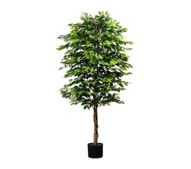 Kunstpflanze Ficus Benjamini mit Naturstamm, Farbe...